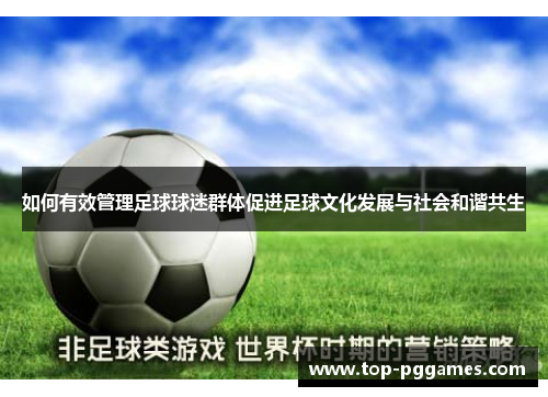 如何有效管理足球球迷群体促进足球文化发展与社会和谐共生