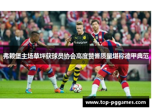 弗赖堡主场草坪获球员协会高度赞誉质量堪称德甲典范