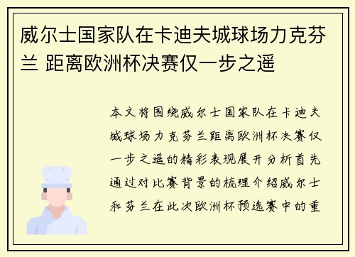 威尔士国家队在卡迪夫城球场力克芬兰 距离欧洲杯决赛仅一步之遥