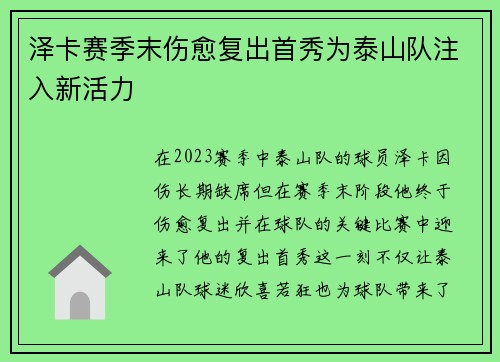 泽卡赛季末伤愈复出首秀为泰山队注入新活力
